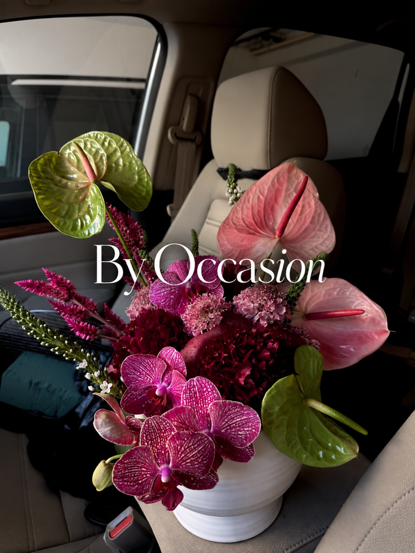 Shop by Occasion