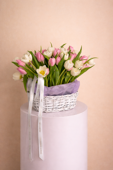 Tulip Garden Mini