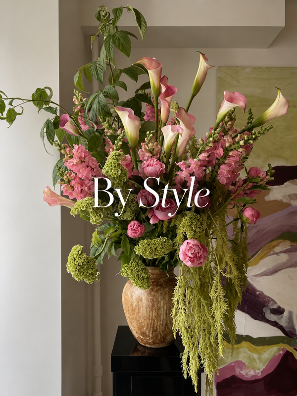 Shop by Style
