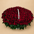 301 Red Rose