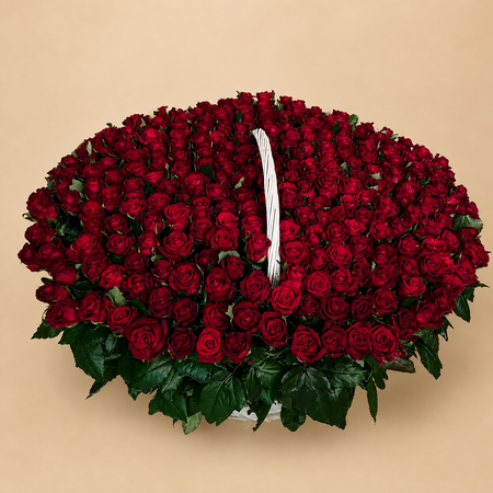 301 Red Rose