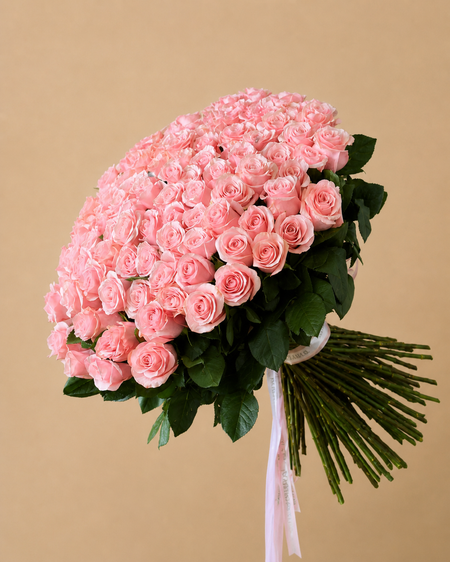 101 Pink Rose