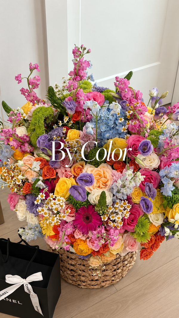 Shop by Color