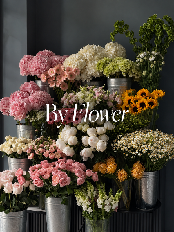 Shop by Flower