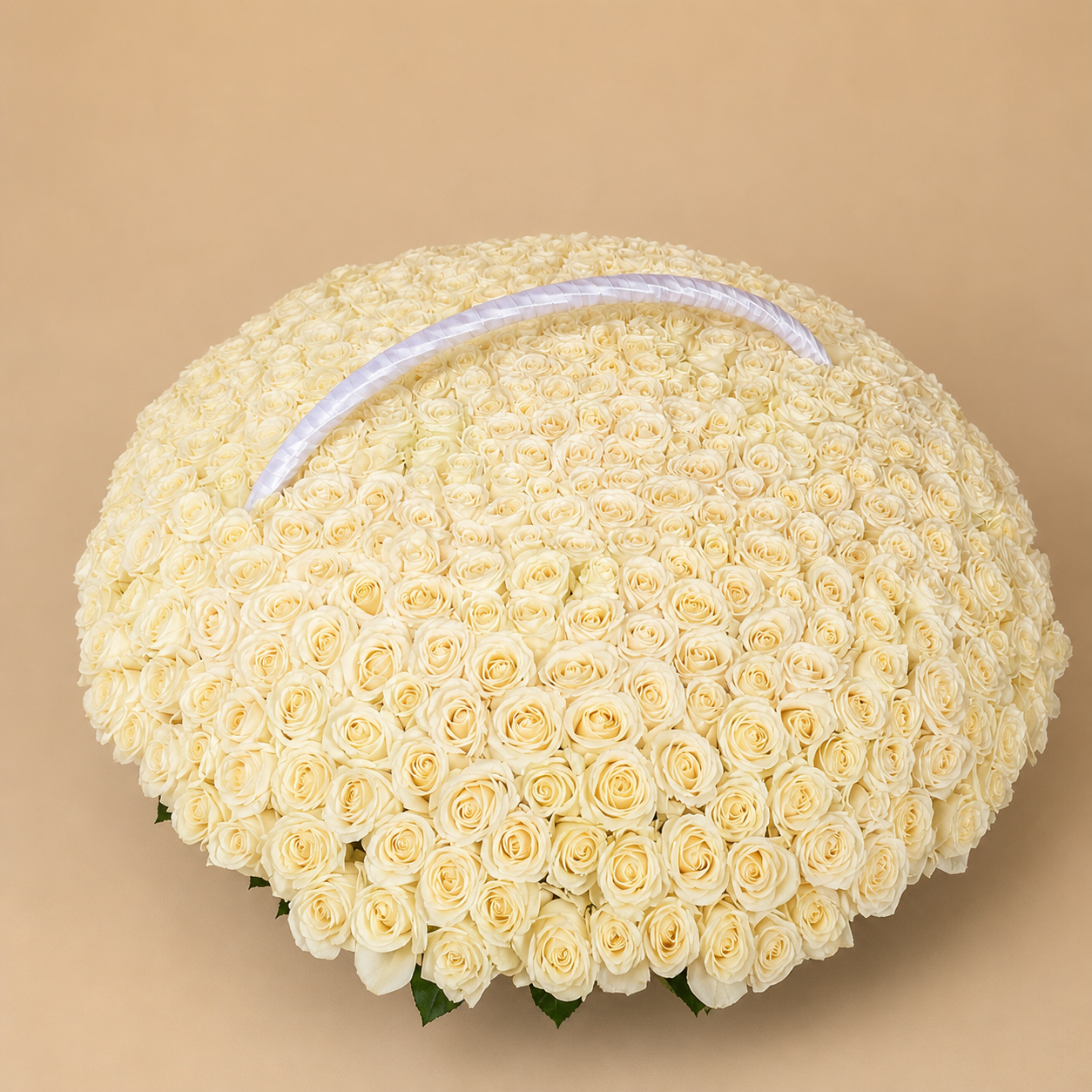 301 White Rose