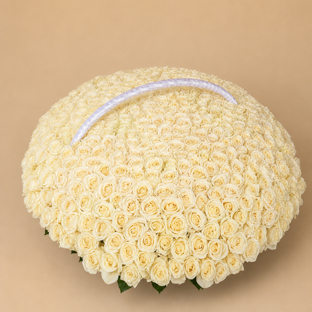 301 White Rose