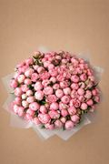 Peony Lover
