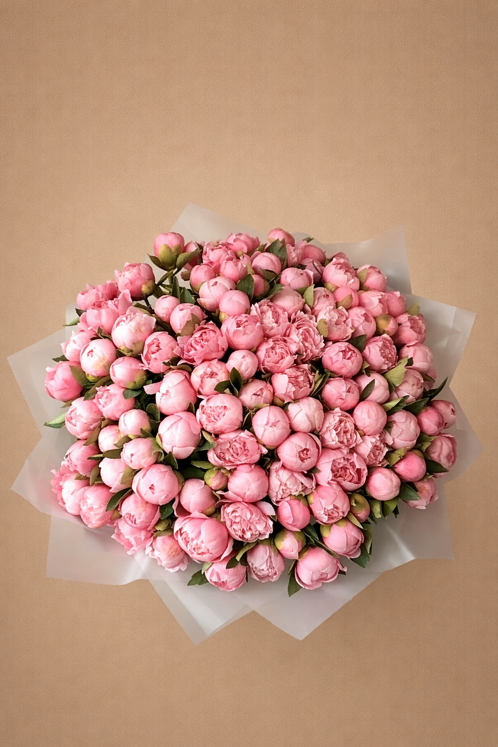 Peony Lover
