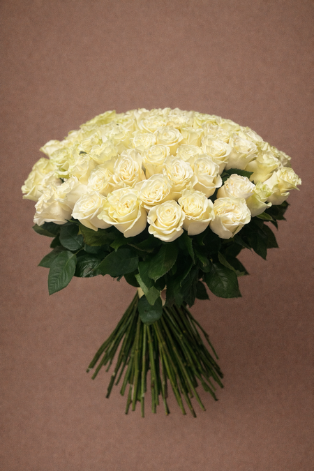 101 White Roses