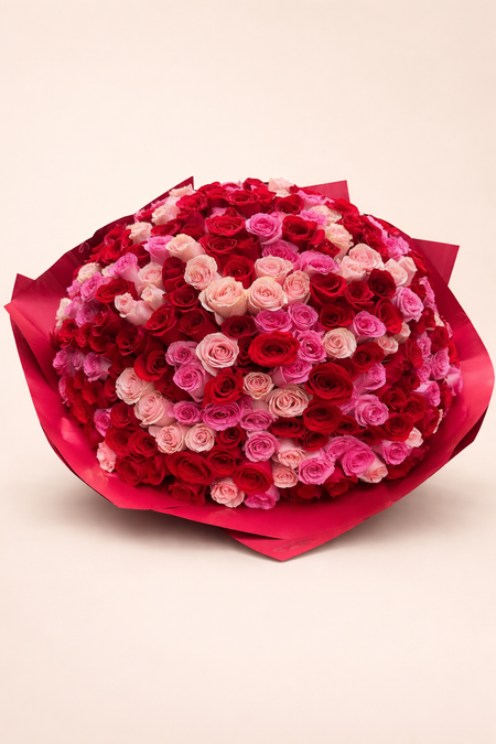 301 Red And Pink Roses