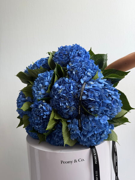 Deep Blue Hydrangeas